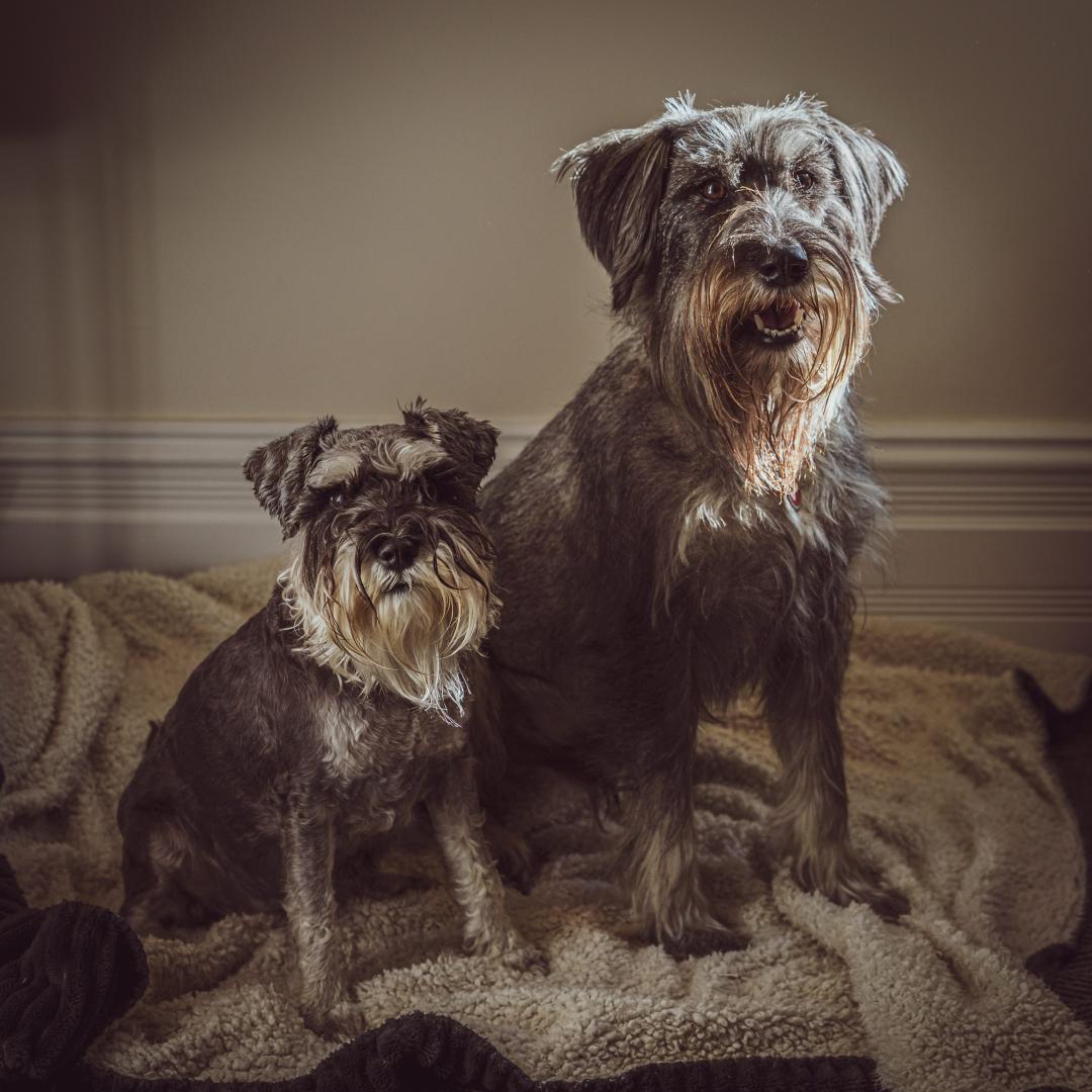 Hugo & Millie Leddick