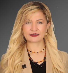 Sinem Nazan Temiz