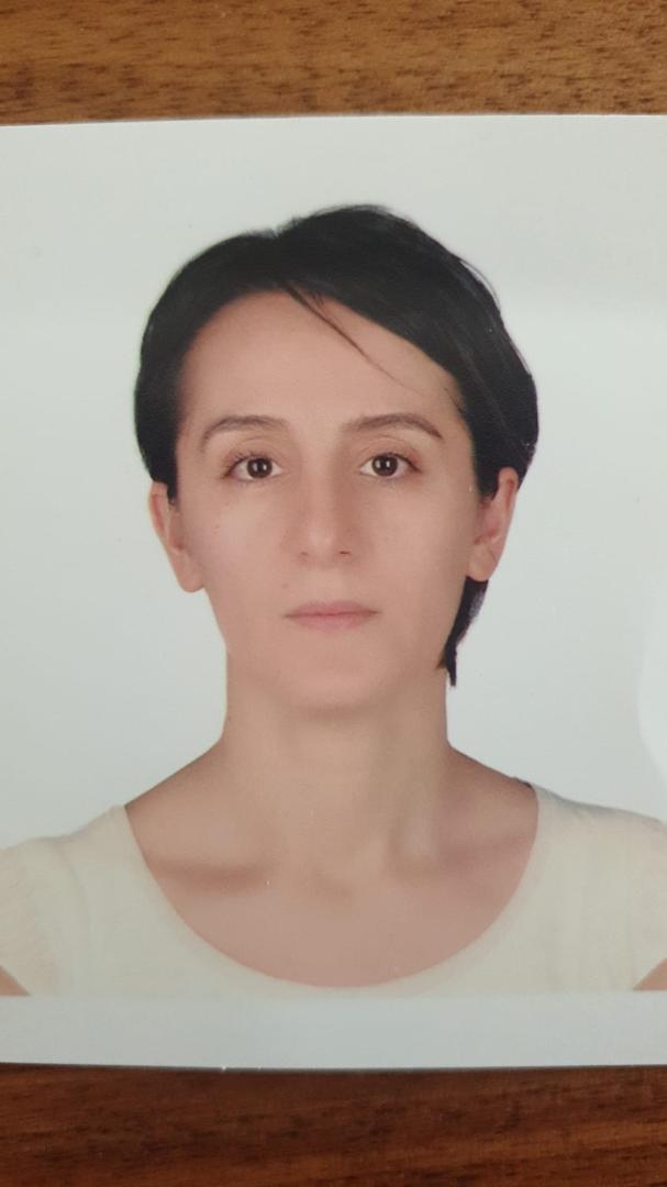 Azer Aras Semerci