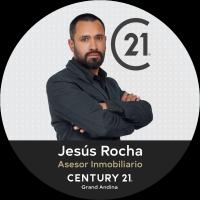 JESUS JUNIOR ROCHA CORTEZ