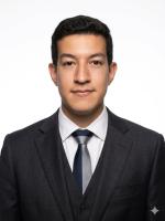 Sebastian Martinez Pisco