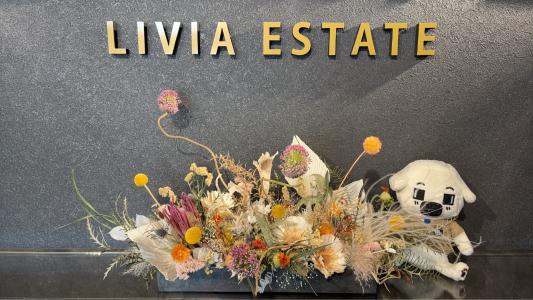 CENTURY 21 LIVIA ESTATE