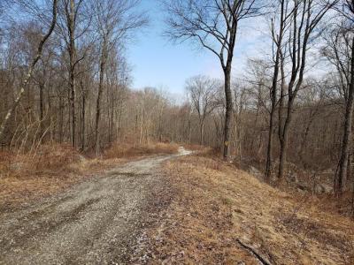 White Rock Road S, Pawling, Нью-Йорк 12531, Соединенные Штаты