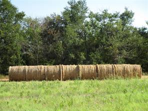 County Rd 1082, Celeste, Texas 75423, États-Unis