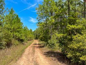 Lost Indian Camp Rd, Huntsville, Texas 77320, États-Unis