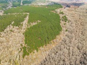 LA 157 Highway, Benton, Louisiana 71006, Stati Uniti