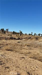 Sun Oro Drive, Yucca Valley, California 92284, HOA KỲ