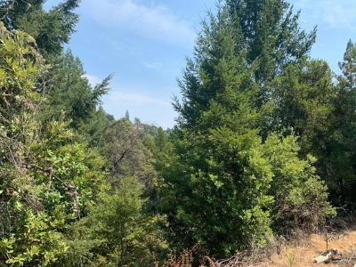 Middleton Drive, Boulder Creek, Kalifornien 95006, USA