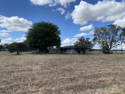 Cottage Avenue, Manteca, Califórnia 95336, Estados Unidos