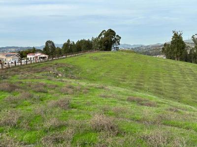 FAIRVIEW Avenue, Hayward, California 94542, Stati Uniti