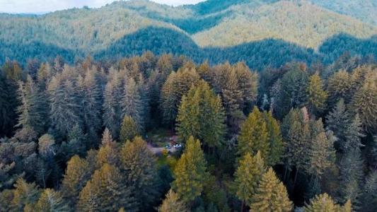Fern Flat Road, Aptos, Californie 95003, États-Unis
