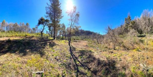 Empire Grade, Santa Cruz, 캘리포니아 95060, 미국