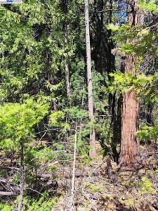 Sly Park, Pollock Pines, Californie 95726, États-Unis