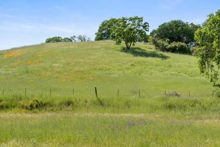 Rancho Hills Dr Drive, Gilroy, קליפורניה 95020, ארצות הברית של אמריקה