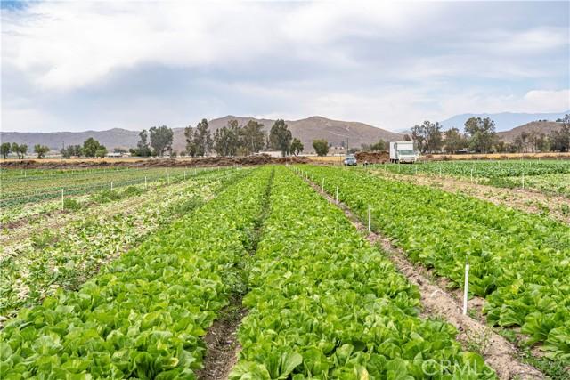 Olive Avenue, Winchester, Californie 92596, États-Unis