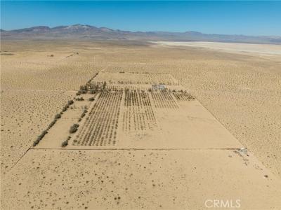 Navajo, Newberry Springs, Califórnia 92365, Estados Unidos