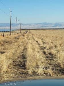 Big Bear Park, California Valley, 加州 93453, 美國