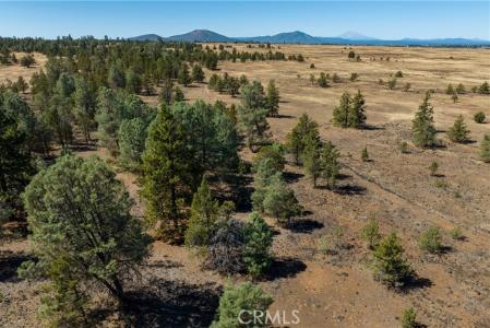 Old Highway Road Road, Outside Area (Inside Ca), Калифорния 96056, Соединенные Штаты