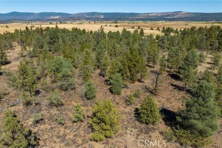 Old Highway Road Road, Outside Area (Inside Ca), Калифорния 96056, Соединенные Штаты