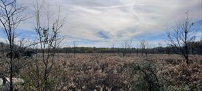 258 Ed Kent, Natchitoches, Louisiane 71416, États-Unis