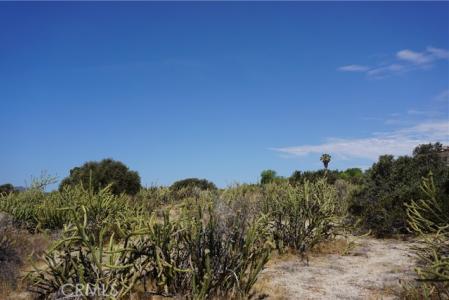 Highway 79, Aguanga, California 92536, Estados Unidos