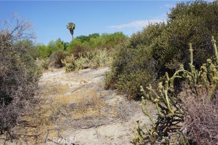 Highway 79, Aguanga, California 92536, Estados Unidos