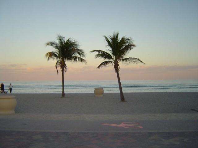 511 S Surf Rd, Hollywood, Florida 33019, Stati Uniti