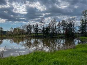 Kurth Drive, Lufkin, טקסס 75904, ארצות הברית של אמריקה