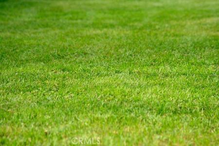 Vac/96 Ste/Vic Avenue Y2, Juniper Hills, 加州 93543, 美國