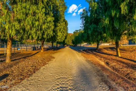 Wheeler Canyon Road, Santa Paula, Калифорния 93060, Соединенные Штаты