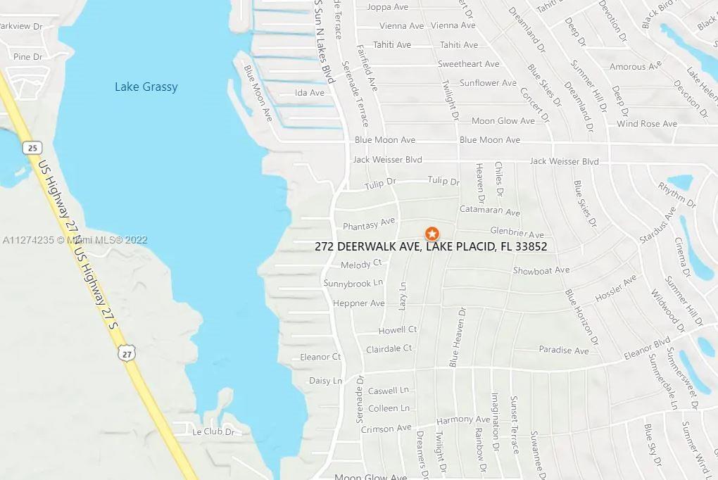 272 DEERWALK AVE, Lake Placid, Florida 33852, Stati Uniti