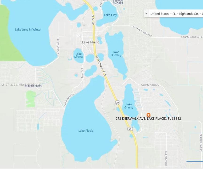 272 DEERWALK AVE, Lake Placid, Florida 33852, Stati Uniti