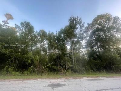 Other City - In The State Of Florida, Florida 34429, USA