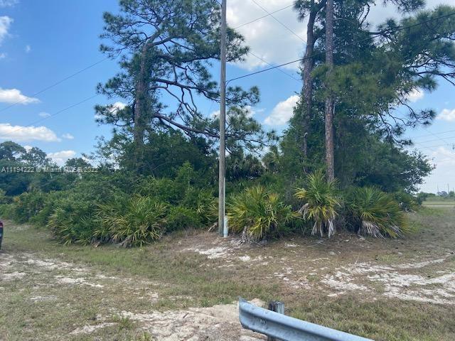 5029 SE TradeWinds Cir, La Belle, Florida 33935, Stati Uniti