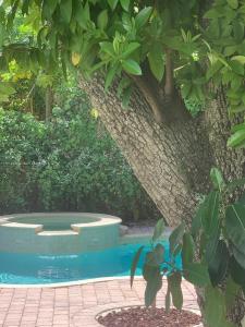 92 NE 90th St 1, El Portal, Florida 33138, USA