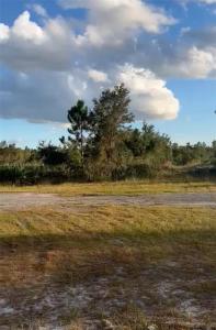 423 gaillardia, Lake Wales, Florida 33855, Estados Unidos