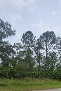1307 W 11TH ST, Lehigh Acres, Florida 33972, USA