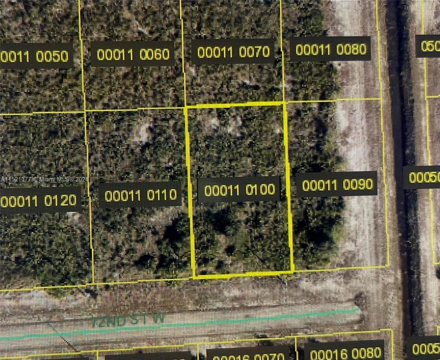 2902 W 72ND ST, Lehigh Acres, 플로리다 33971, 미국