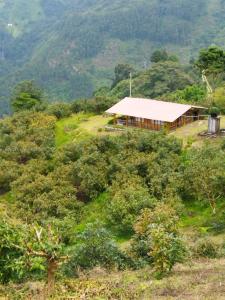 Armenia-Quindio, Florida, USA
