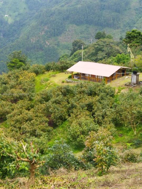 Armenia-Quindio, Flórida, Estados Unidos