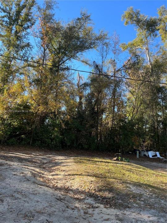 1316 Carrol ST, Other City - In The State Of Florida, Florida 32324, Stati Uniti