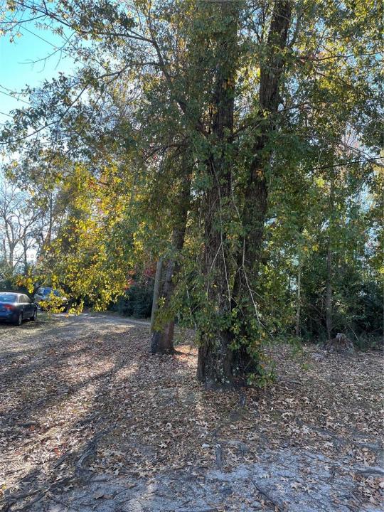 1316 Carrol ST, Other City - In The State Of Florida, Florida 32324, Stati Uniti