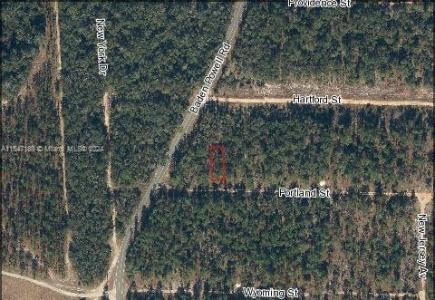 338 Portland St, Other City - In The State Of Florida, Florida 32640, USA