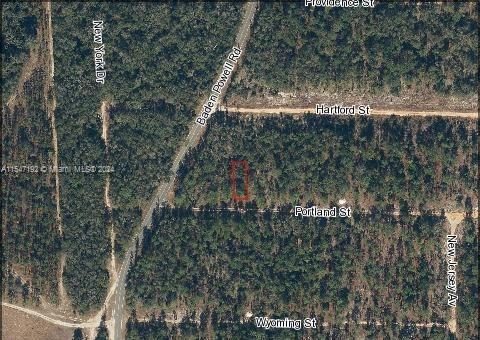 336 Portland St, Other City - In The State Of Florida, 佛罗里达州 32640, 美国