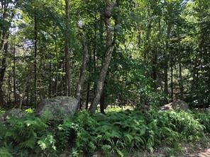 Spring Grove Road, Glocester, RI 02814, USA