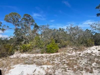 237 Carole Road NW, Lake Placid, Florida 33852, USA