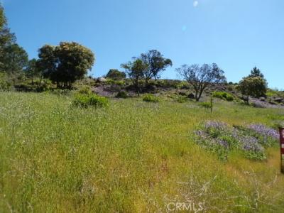 Sunset Ridge Dr, Kelseyville, カリフォルニア 95451, アメリカ合衆国