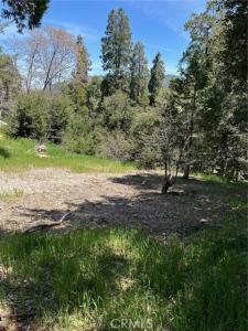 Jungfrau Drive, Crestline, Kalifornia 92325, USA