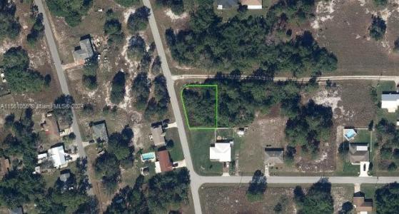 217 Starlight Ave, Lake Placid, Florida 33852, USA