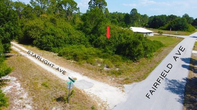 217 Starlight Ave, Lake Placid, Florida 33852, USA